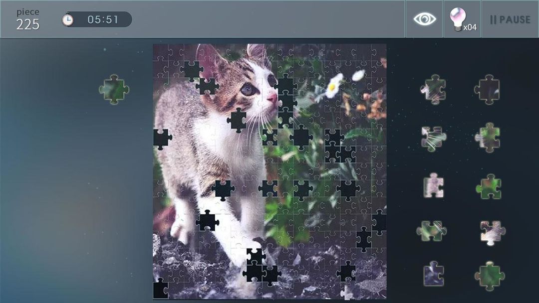 Screenshot of Jigsaw Puzzle World