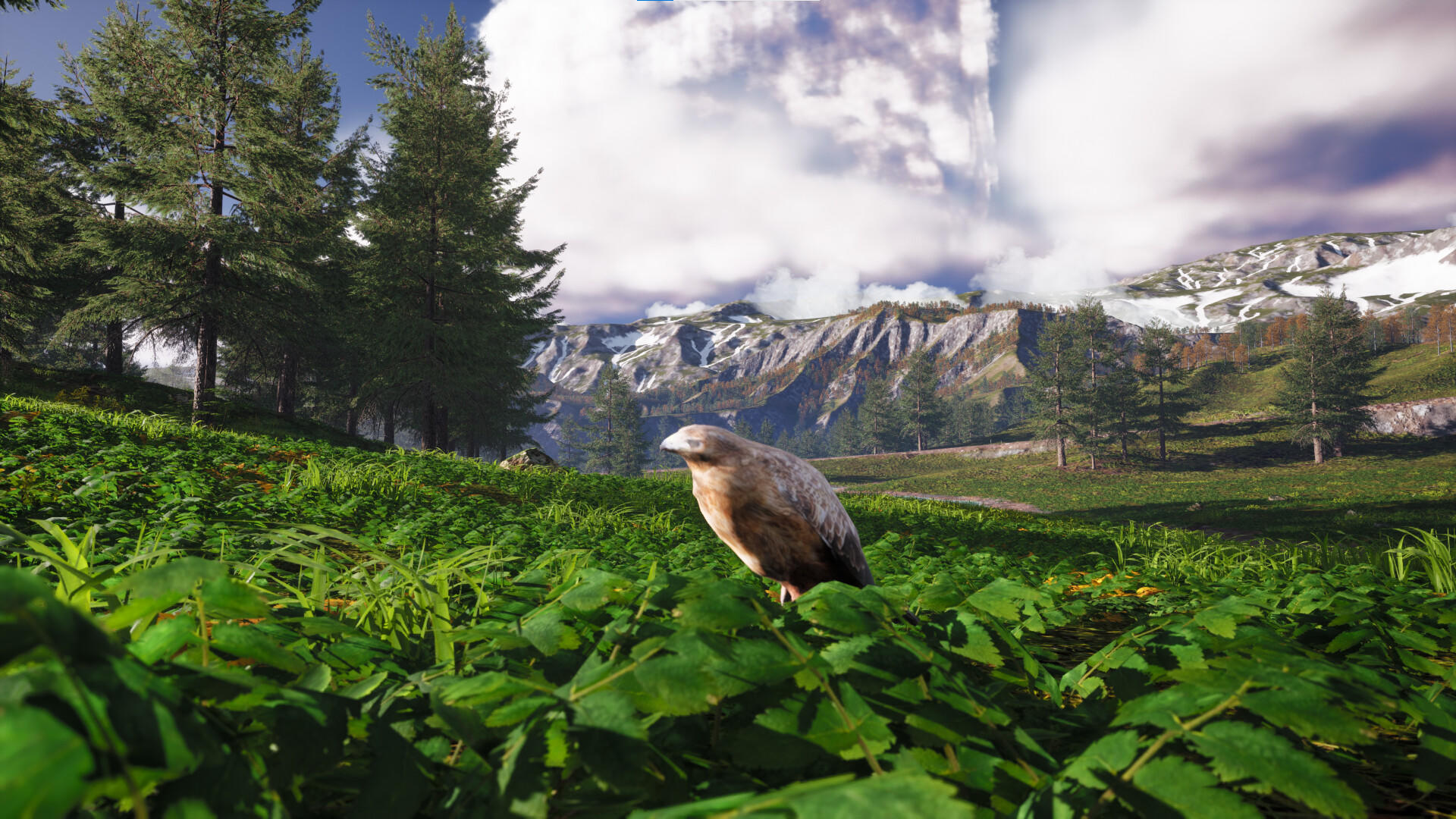 Bird's Eye Odyssey Game Screenshot