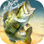 Icon of BIG FISH KING