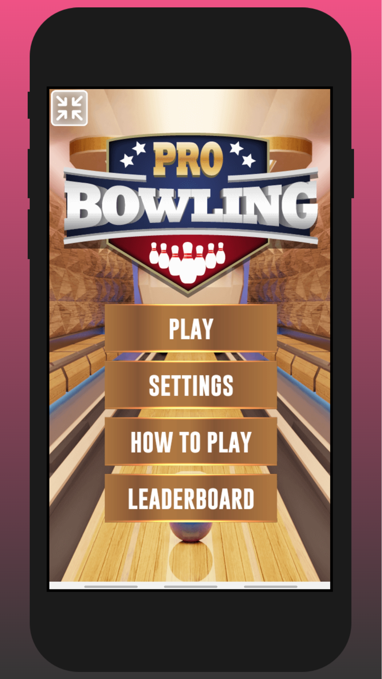 Pro Bowling 3D Game Screenshot