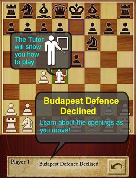 Chess Pro Game Screenshot