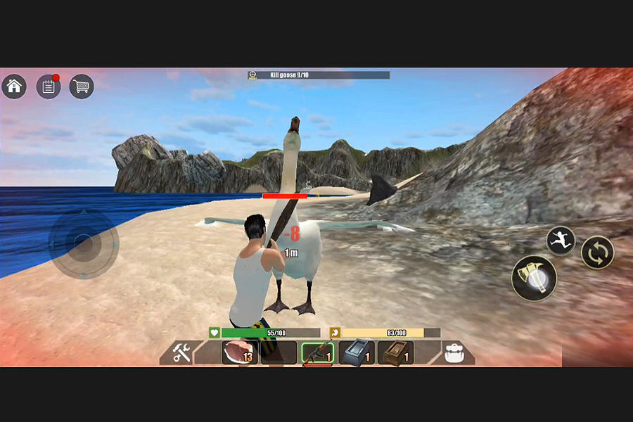 Screenshot of the video of Isolated Island Mutation