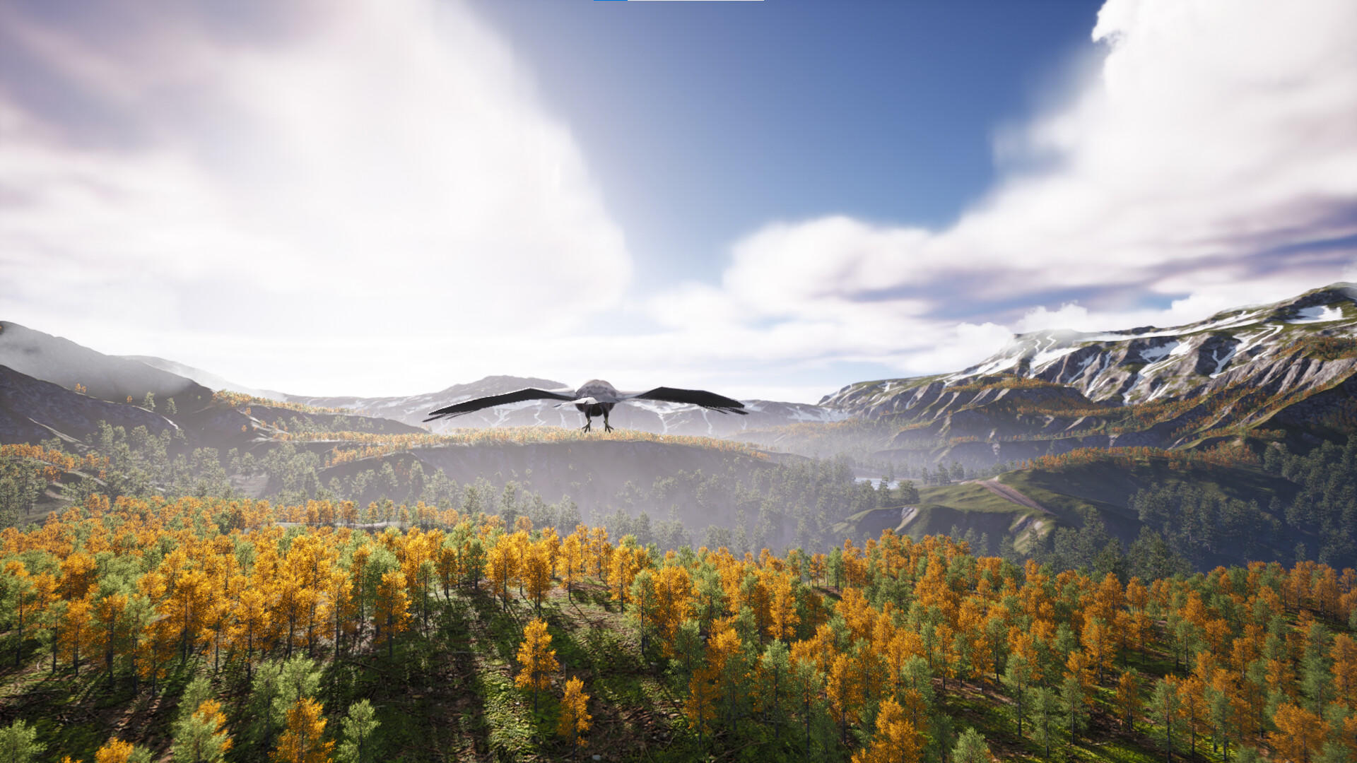 Bird's Eye Odyssey ภาพหน้าจอเกม