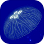 Icon of Cozy Jellyfish: Relax Aquarium