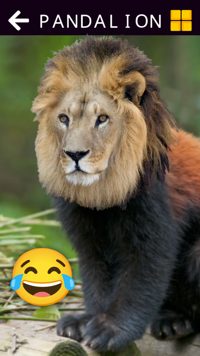 Funny Animal & Dinosaur (full) Game Screenshot