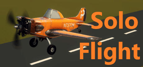 Banner of Solo Flight 