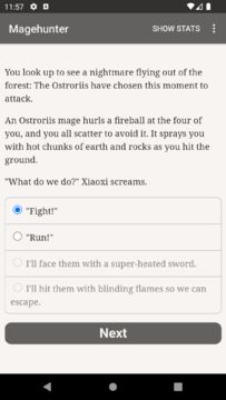 Magehunter: Phoenix Flame Game Screenshot