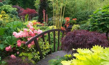 Astonishing Garden Escape Game Screenshot