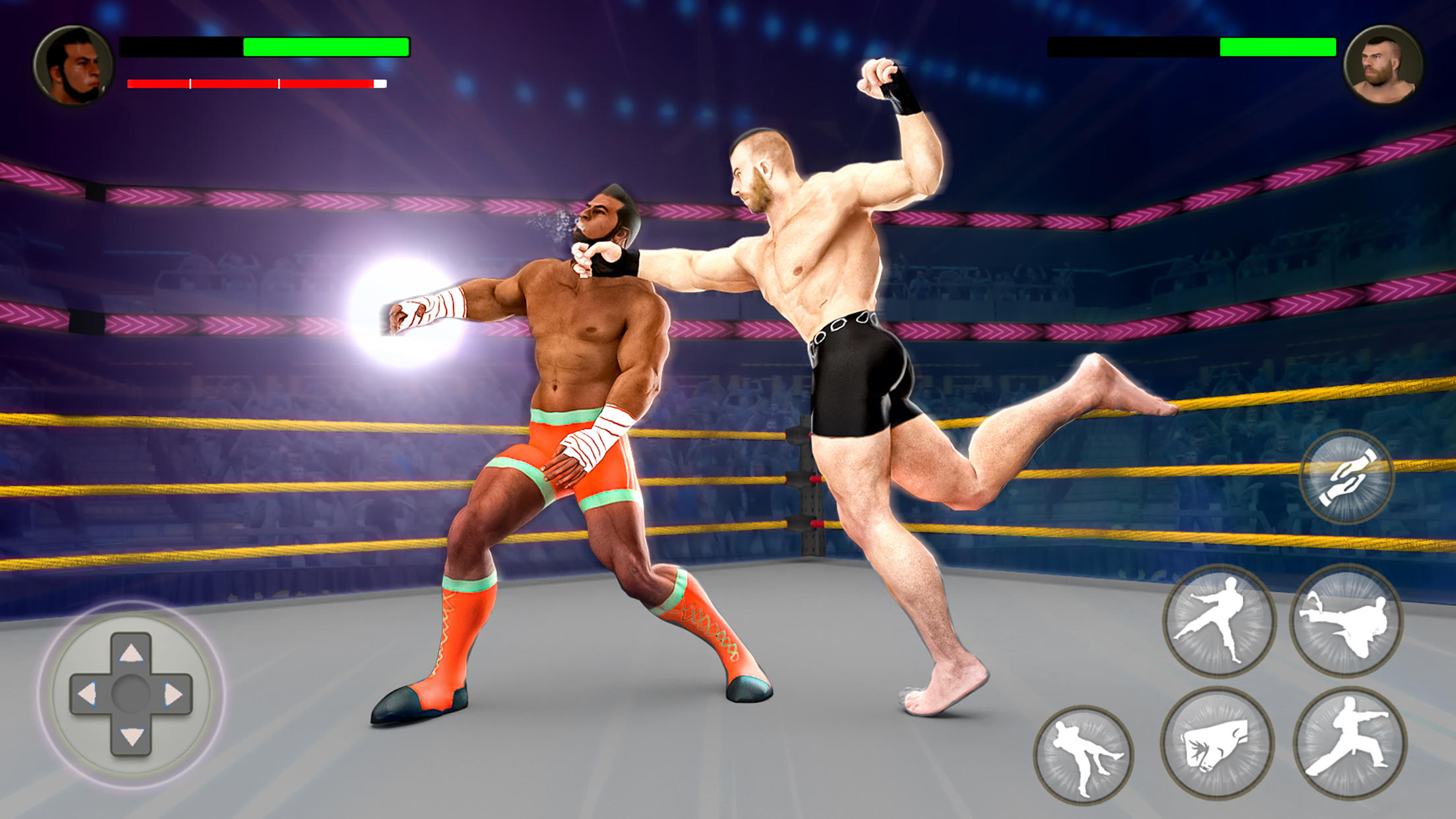 PRO Wrestling Fighting Game ภาพหน้าจอเกม