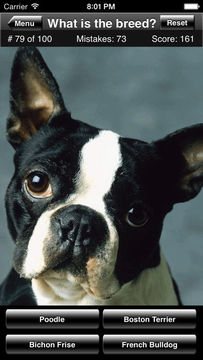 Dog Breed Quiz Game Screenshot