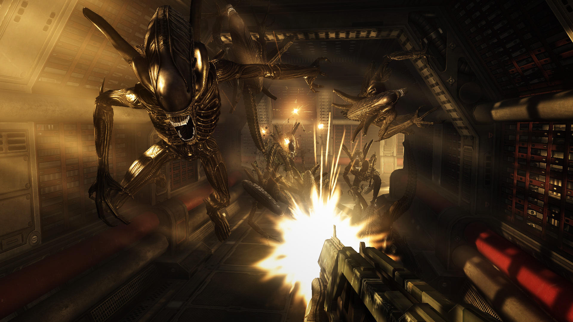 Screenshot of Aliens vs. Predator™