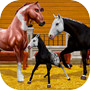 Star Equestrian - Horse Ranch