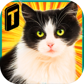 Street Cat Sim 2016