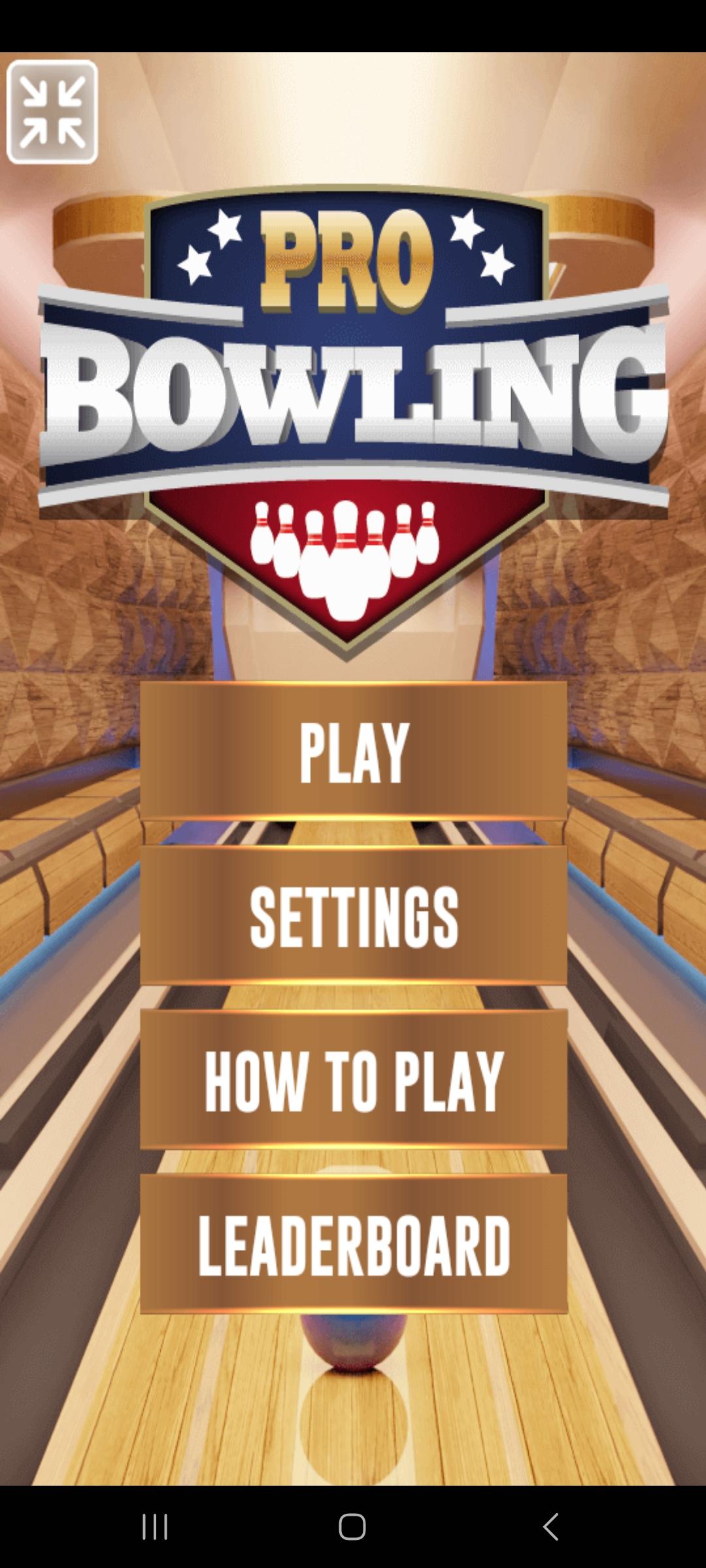 Bowling Game Screenshot