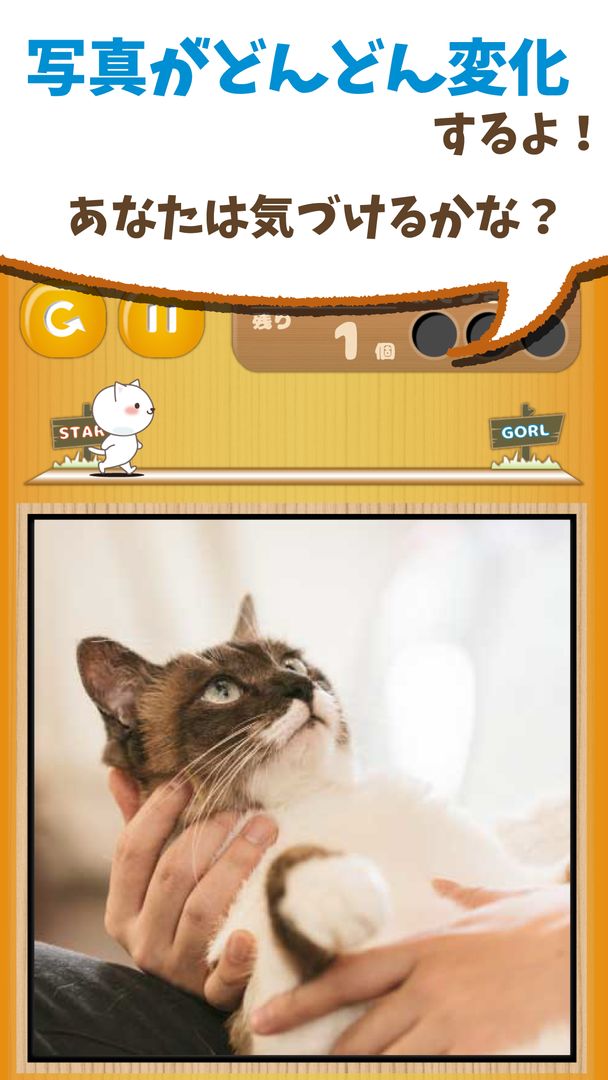 Screenshot of change cats -a-ha!experience-