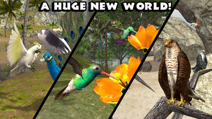 Ultimate Bird Simulator 게임 스크린 샷
