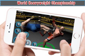 King of Wrestlers 3D ภาพหน้าจอเกม