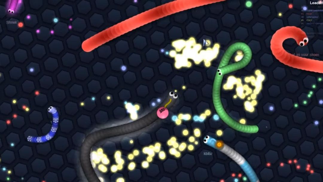 Screenshot of snake kakute