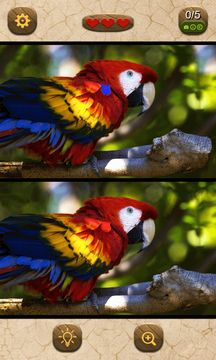 Cuplikan Layar Game Find the differences