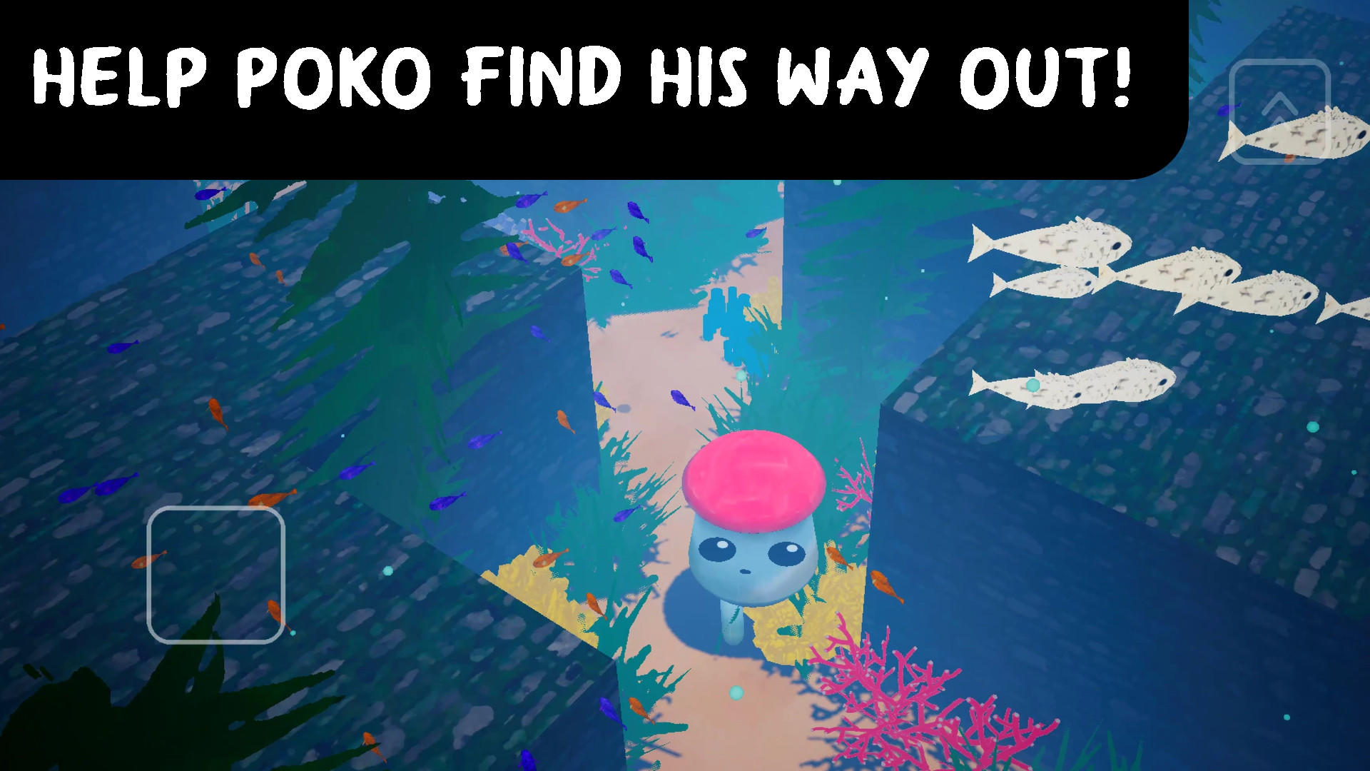 3D Maze: POKO's Adventures Game Screenshot