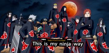 Banner of Swift Ninjas 