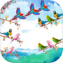 Icon of Bird Sort Puzzle Birds Sorting