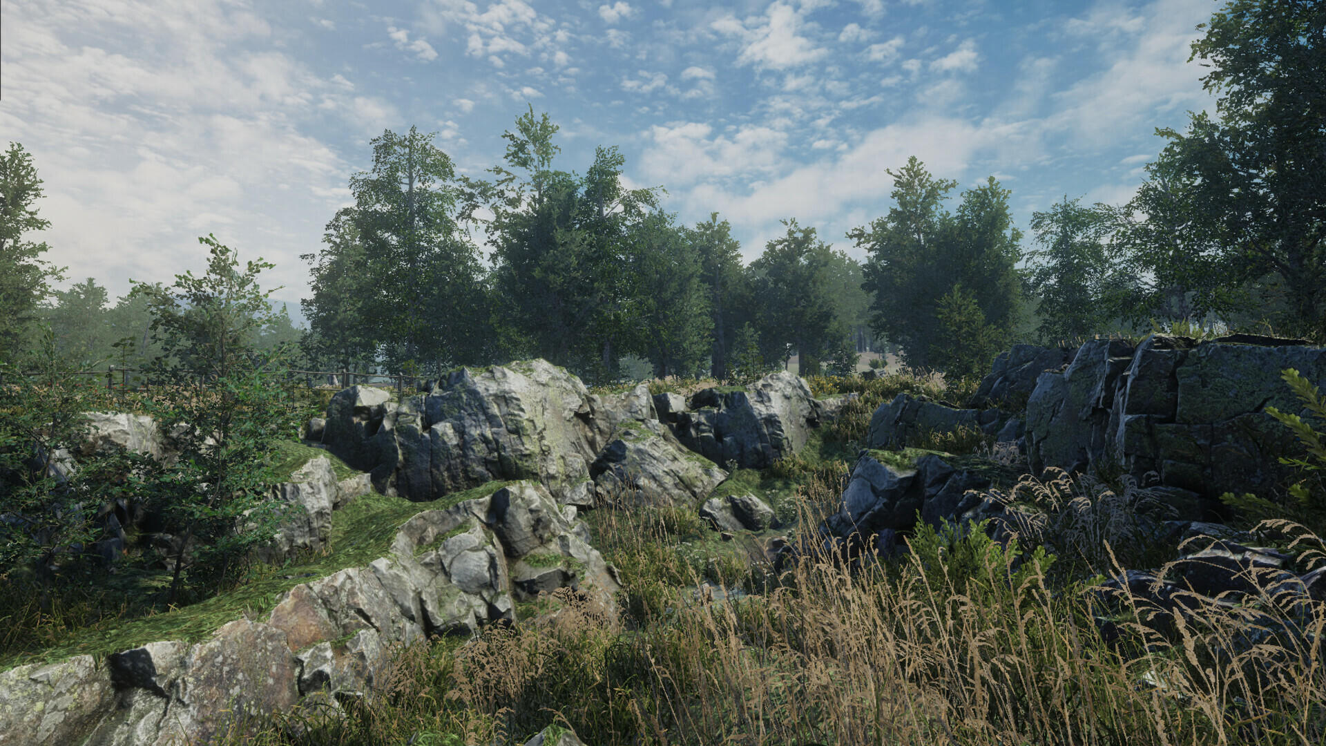 Screenshot of Birch Simulator