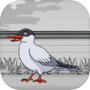 Icon of Rescue The Arctic Tern