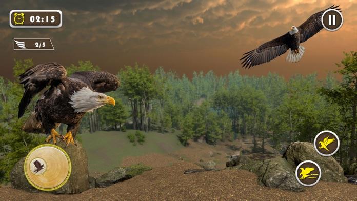 American 2024 eagle pet