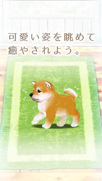 My Dog Life -Japanese Shiba Inu Edition- Game Screenshot