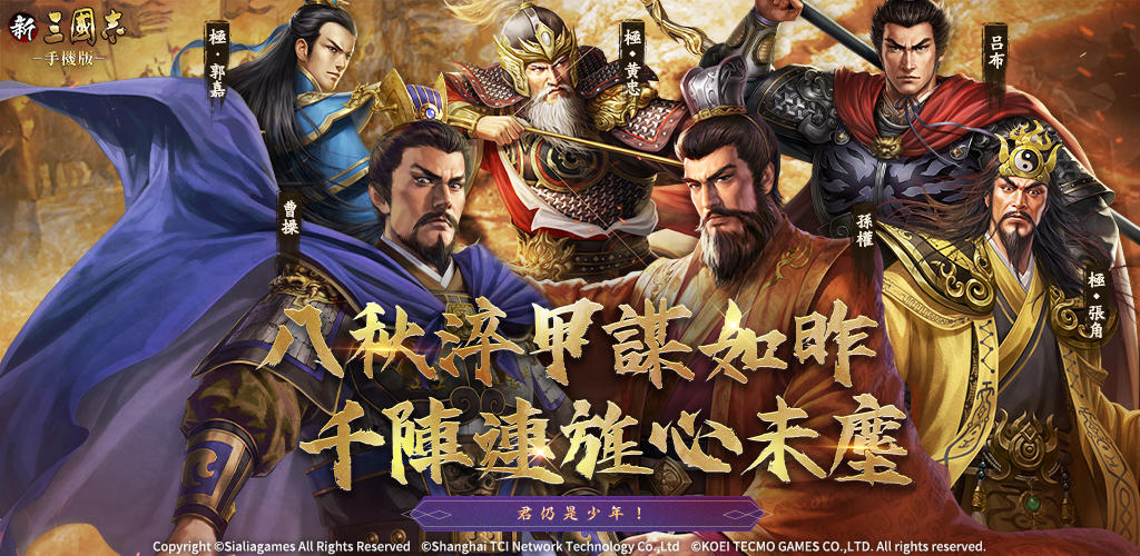 Banner of Shin Sangokushi 