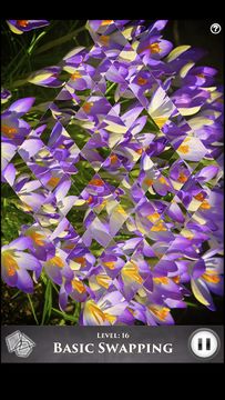 Скриншот игры Hidden Scenes First of Spring