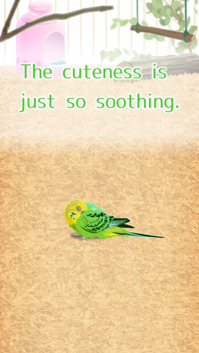 Скриншот игры Parakeet Pet