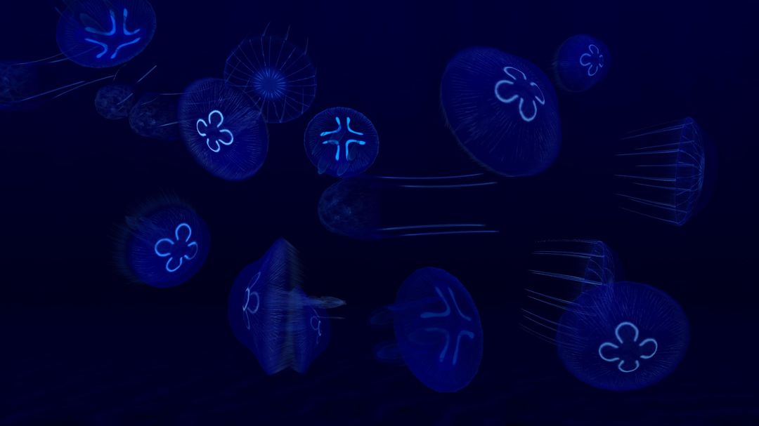 Screenshot of Fish Farm 3 - Aquarium