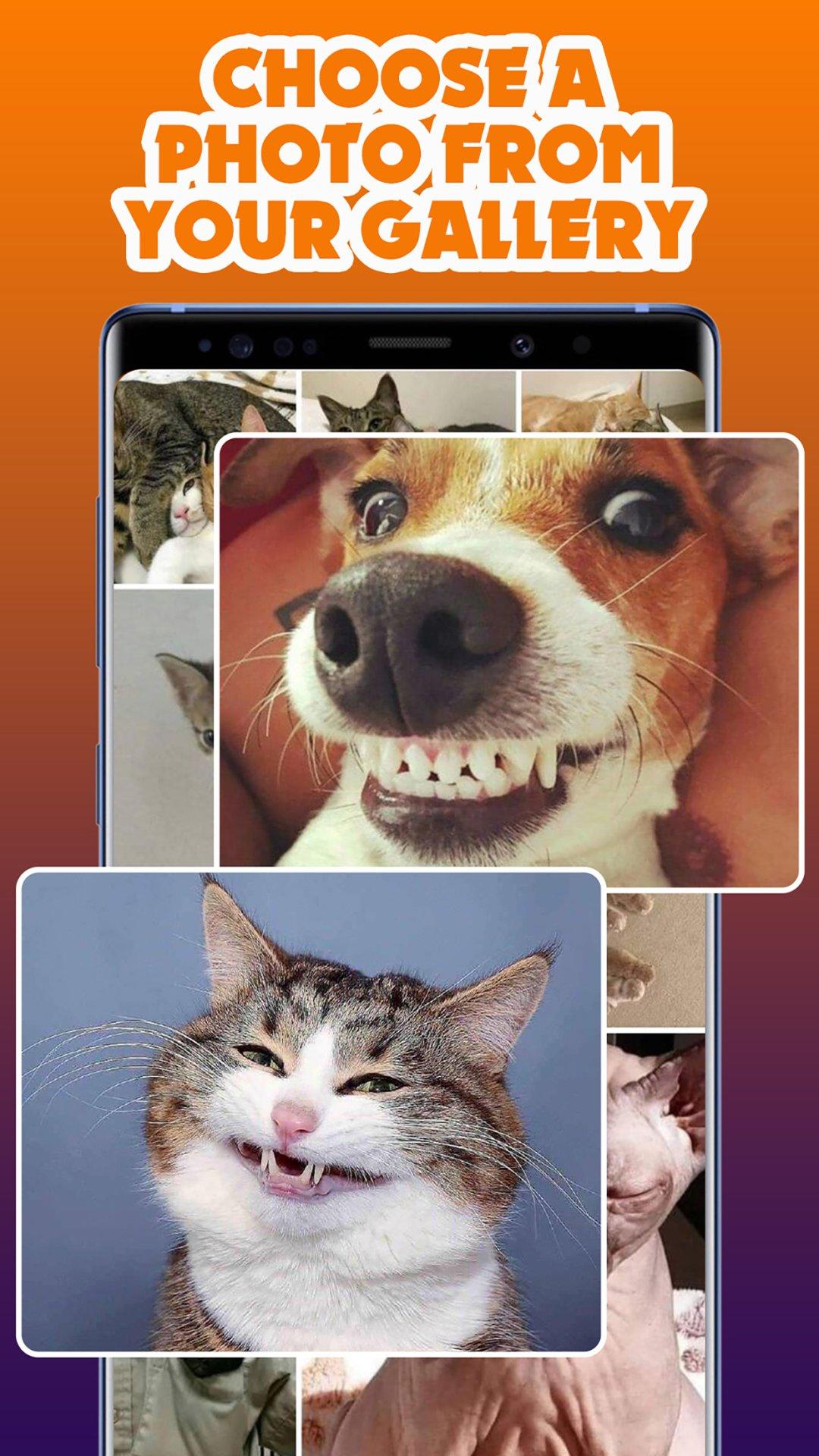 Screenshot of Hit Cheems, Bonk Dog Funny Dog