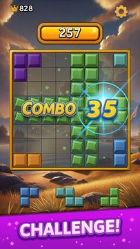 Block Fever Crush ภาพหน้าจอเกม