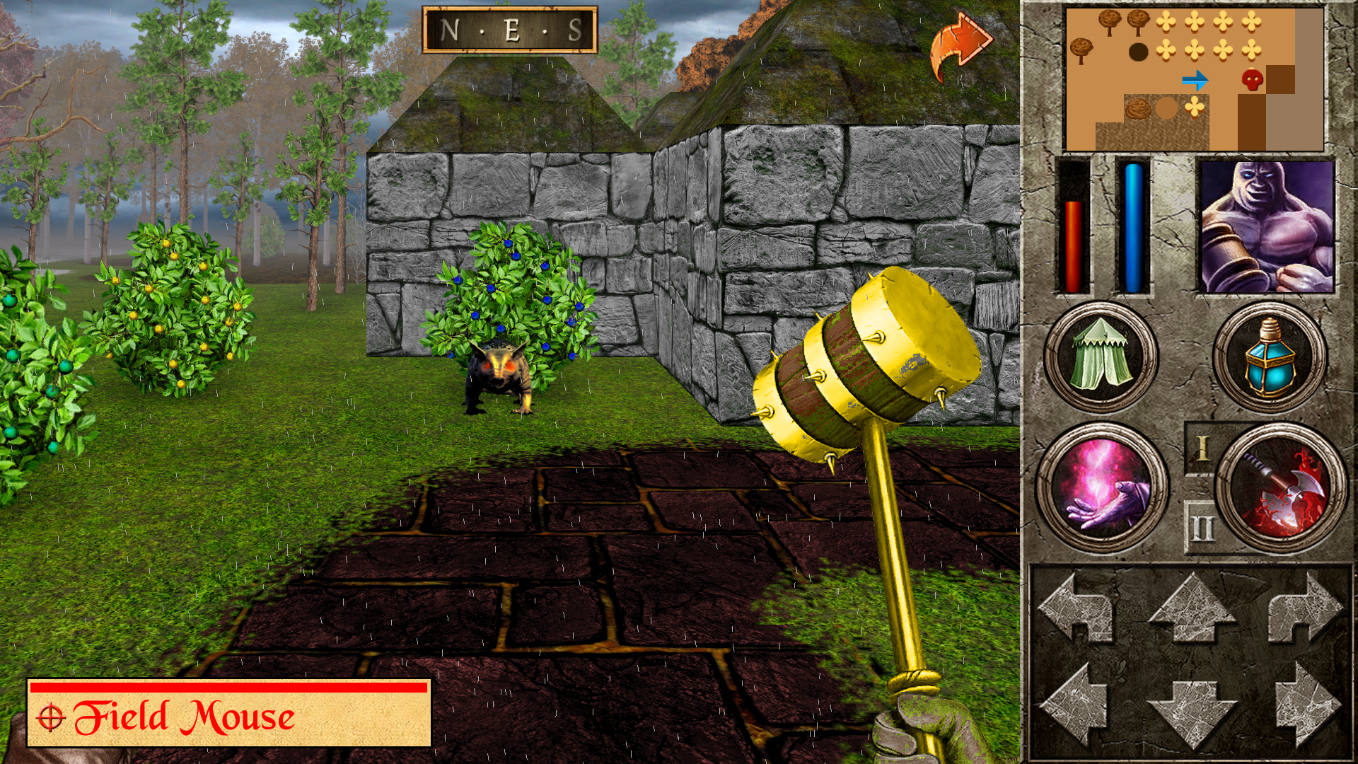 The Quest - Ragnar's Revenge Game Screenshot
