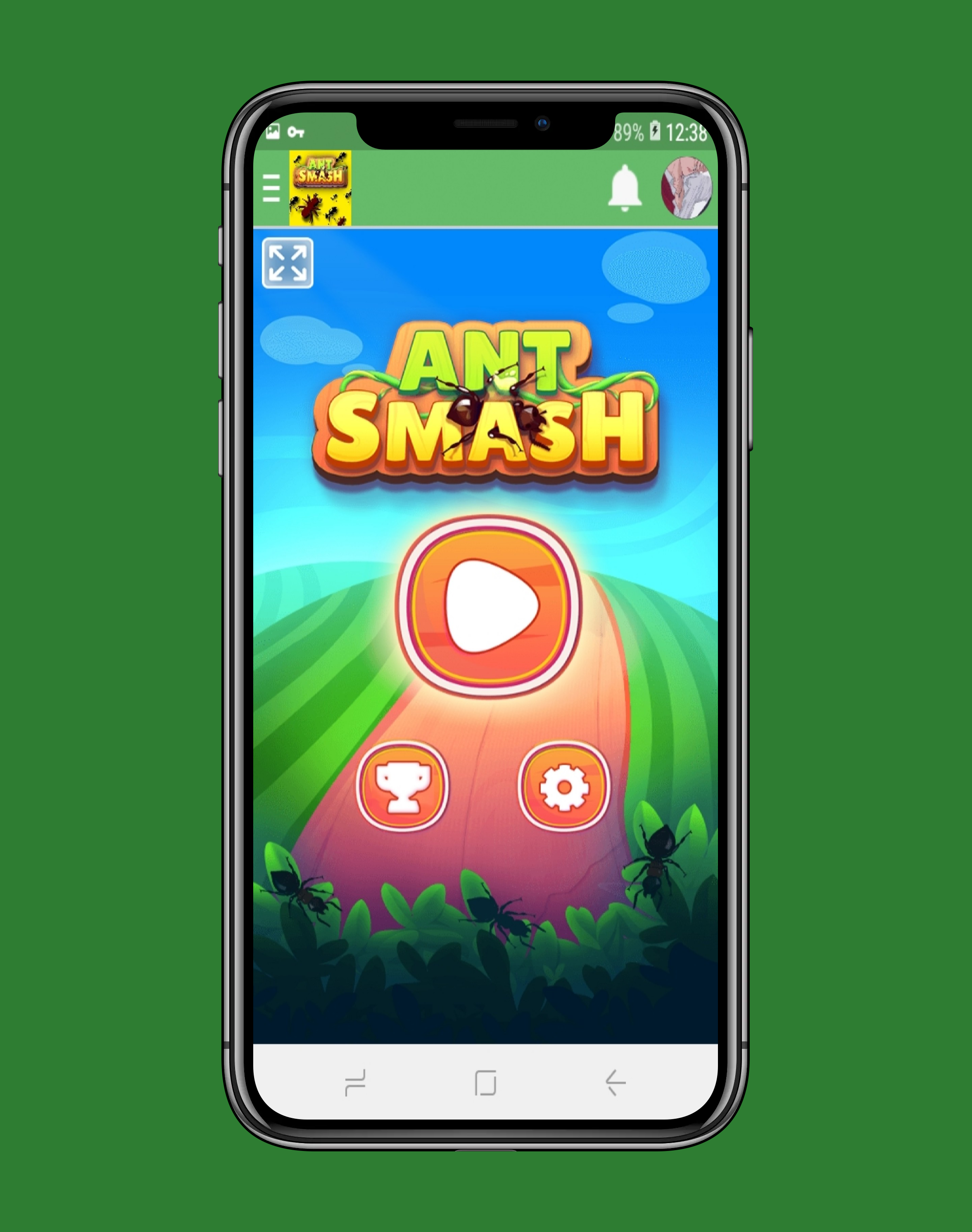 Ant Smasher Game Screenshot
