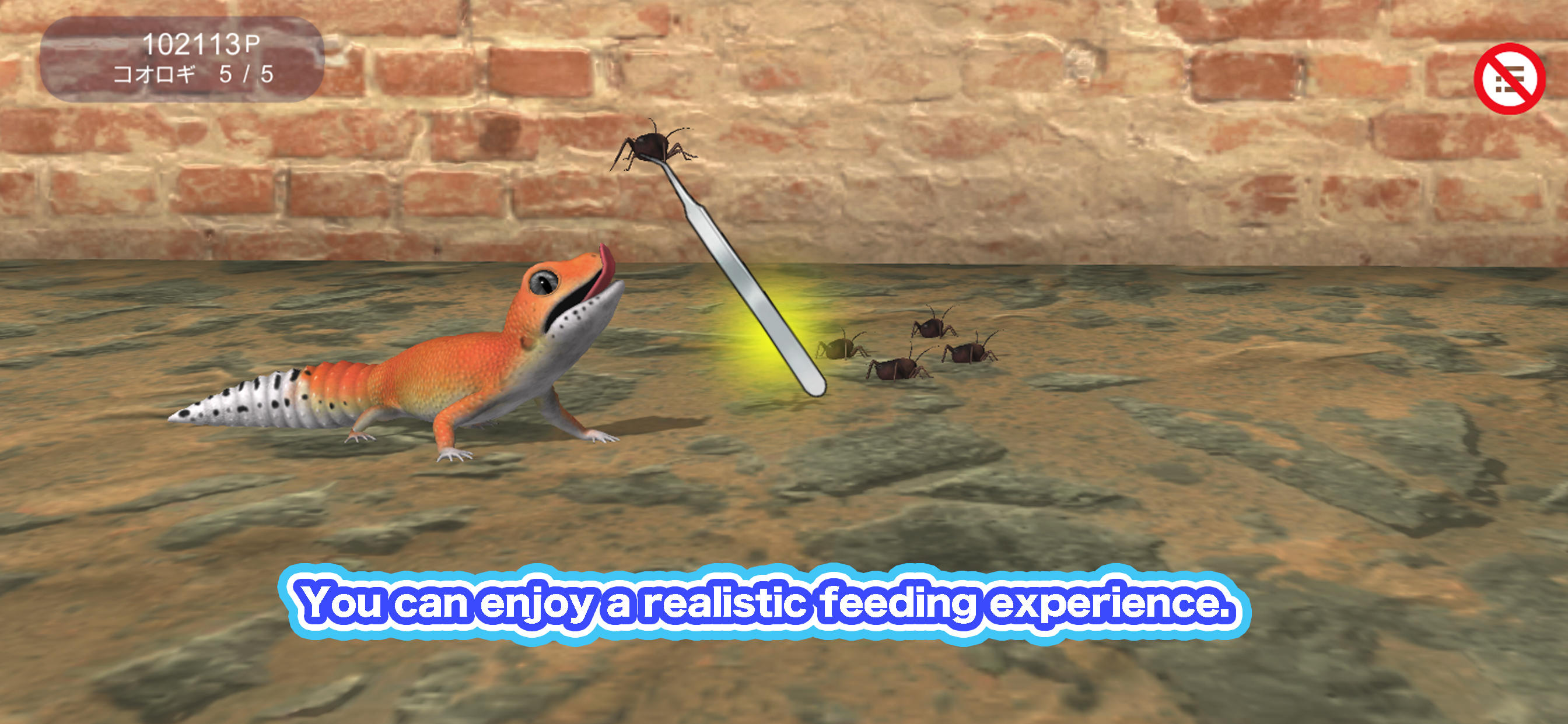 My leopard gecko Game Screenshot