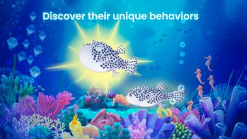 Скриншот игры Splash — Fish Aquarium