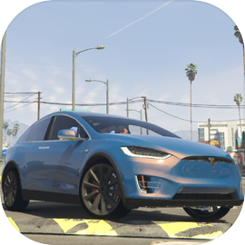 Tesla Model X Master Driver