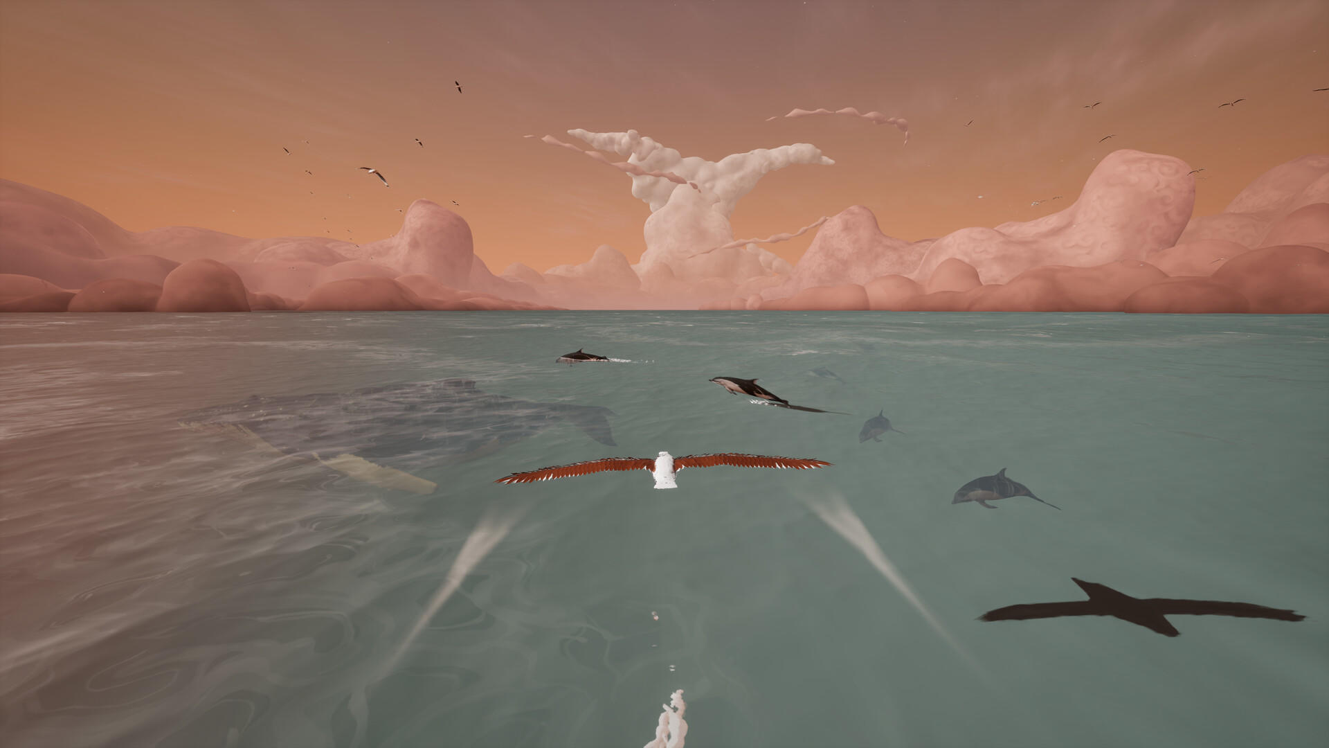 Screenshot of Toroa: Skycall