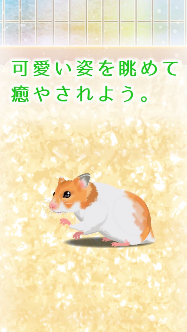 Screenshot of 癒しのハムスター育成ゲーム