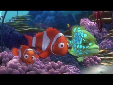 Screenshot of the video of Nemo's Reef