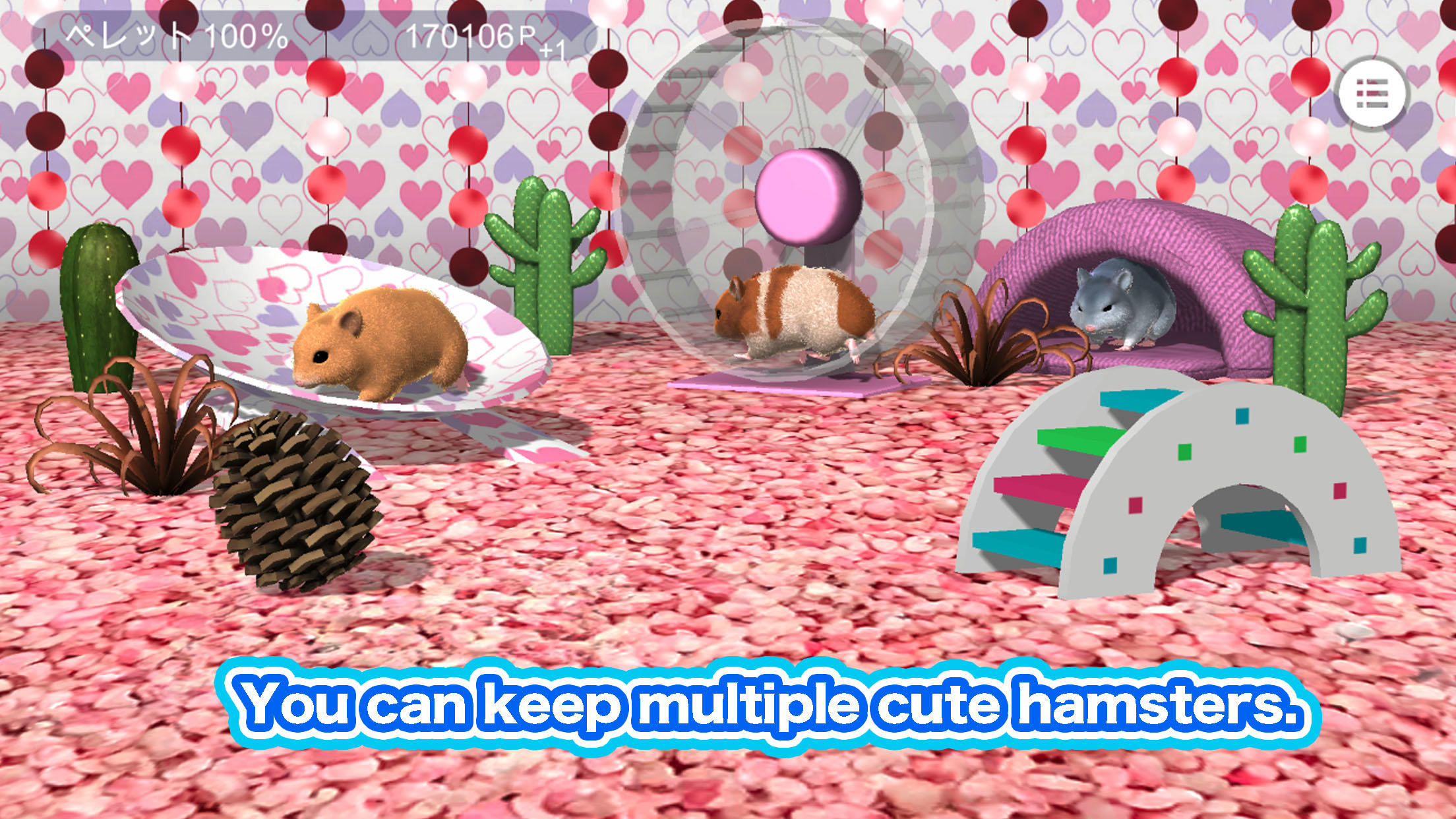 Play with your hamster Game Screenshot