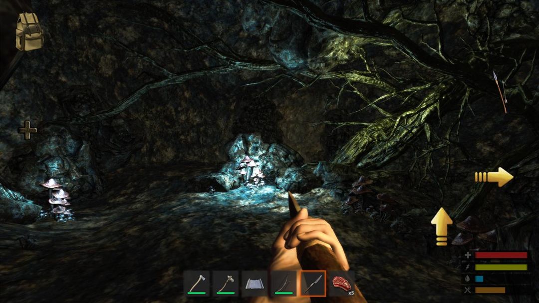 Screenshot of Survive: The Lost Lands