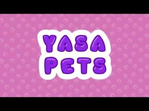 Screenshot of the video of Yasa Pets School