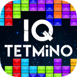 IQ Puzzle TETMiNO - block puzzle game