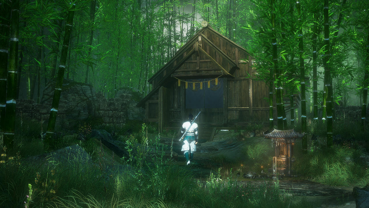 隐龙传：影踪 Game Screenshot