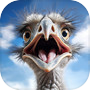 Icon of Ostrich Wild Animal Hunting 3d